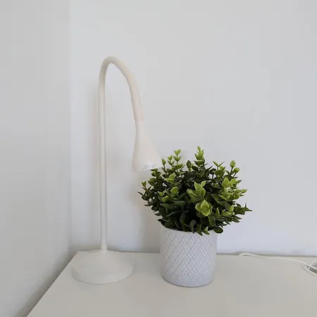 Del Mardy Appartement